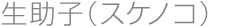 生助子(スケノコ)