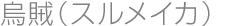 烏賊(スルメイカ)