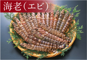 海老