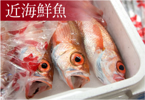 近海鮮魚
