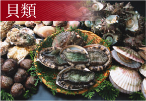 貝類
