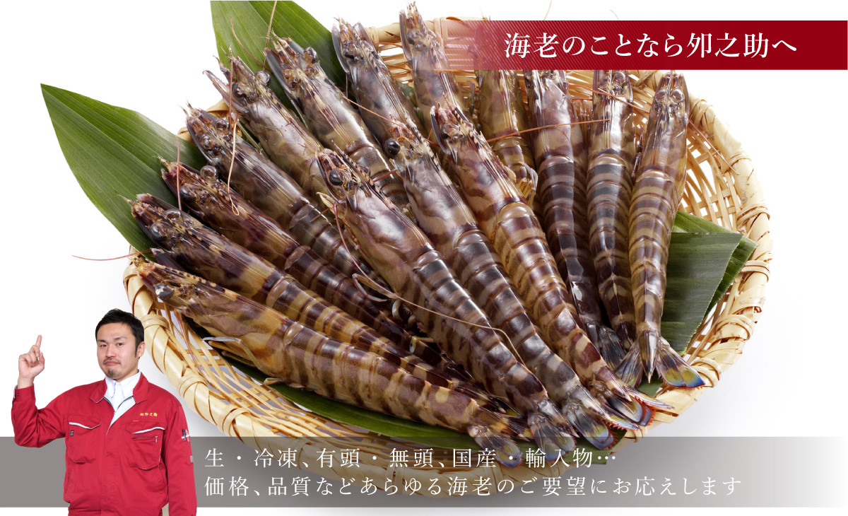 生・冷凍、有頭・無頭、国産・輸入物・・価格、品質などあらゆる海老のご要望にお応えします。