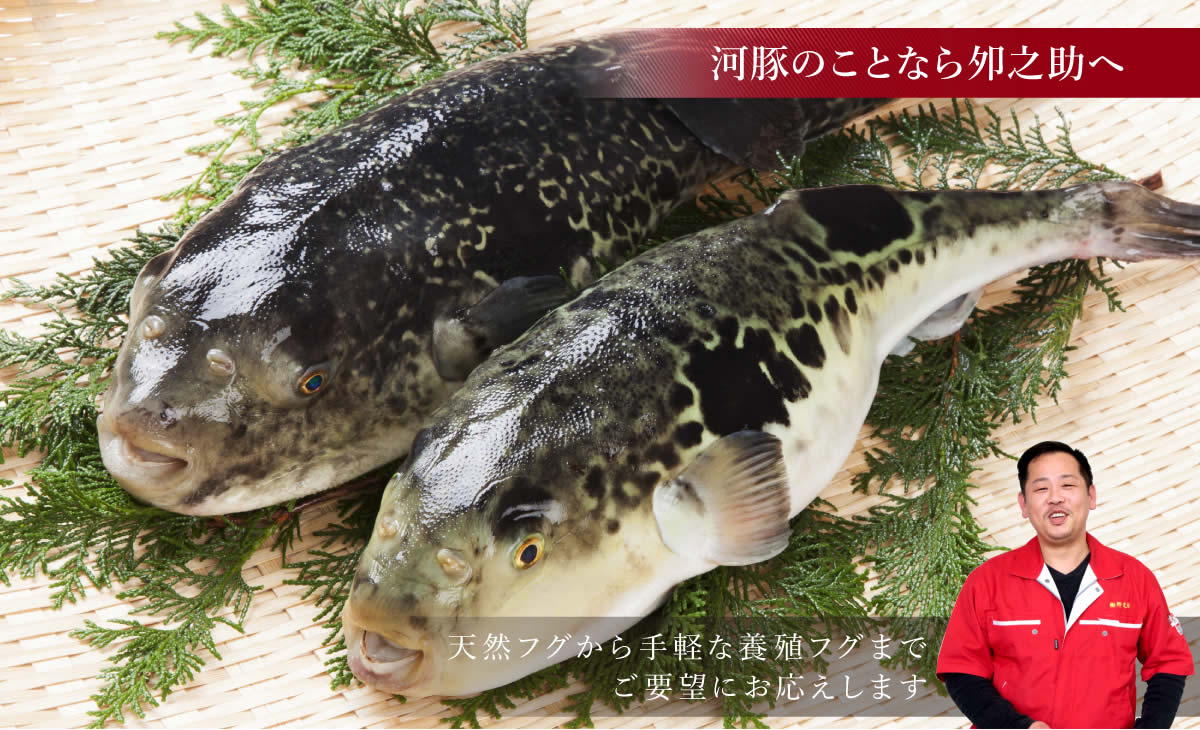 冬の味覚の醍醐味、天然フグから手軽な養殖フグまでご要望にお応えします。