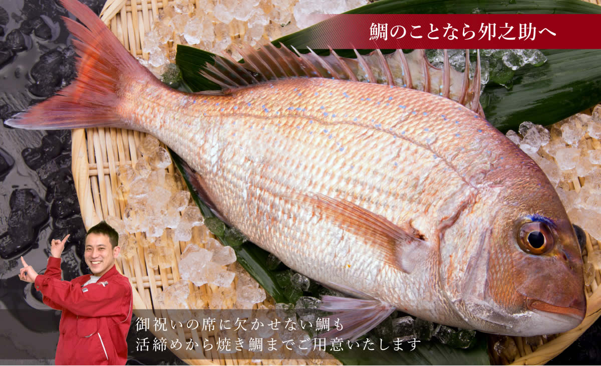 年末年始のお祝いの席に欠かせない鯛。活締めのものから焼き鯛までご用意いたします。