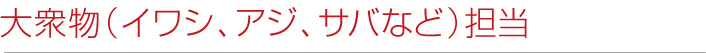 大衆物(イワシ、アジ、サバなど)担当