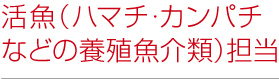 活魚(ハマチ・カンパチなどの養殖魚介類)担当