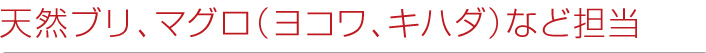 天然ブリ、マグロ(ヨコワ、キハダ)など担当